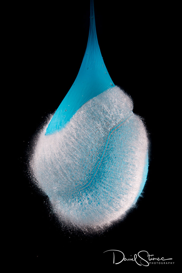 _R6A8989-2