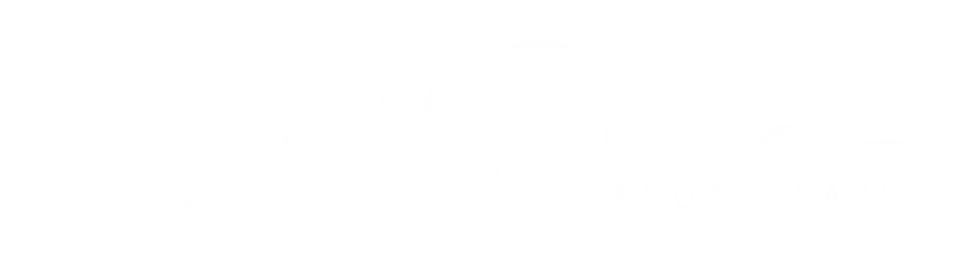 Daniel-Stimac-White-low-res_cut1
